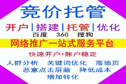SEM推广竞价托管成功案例解析